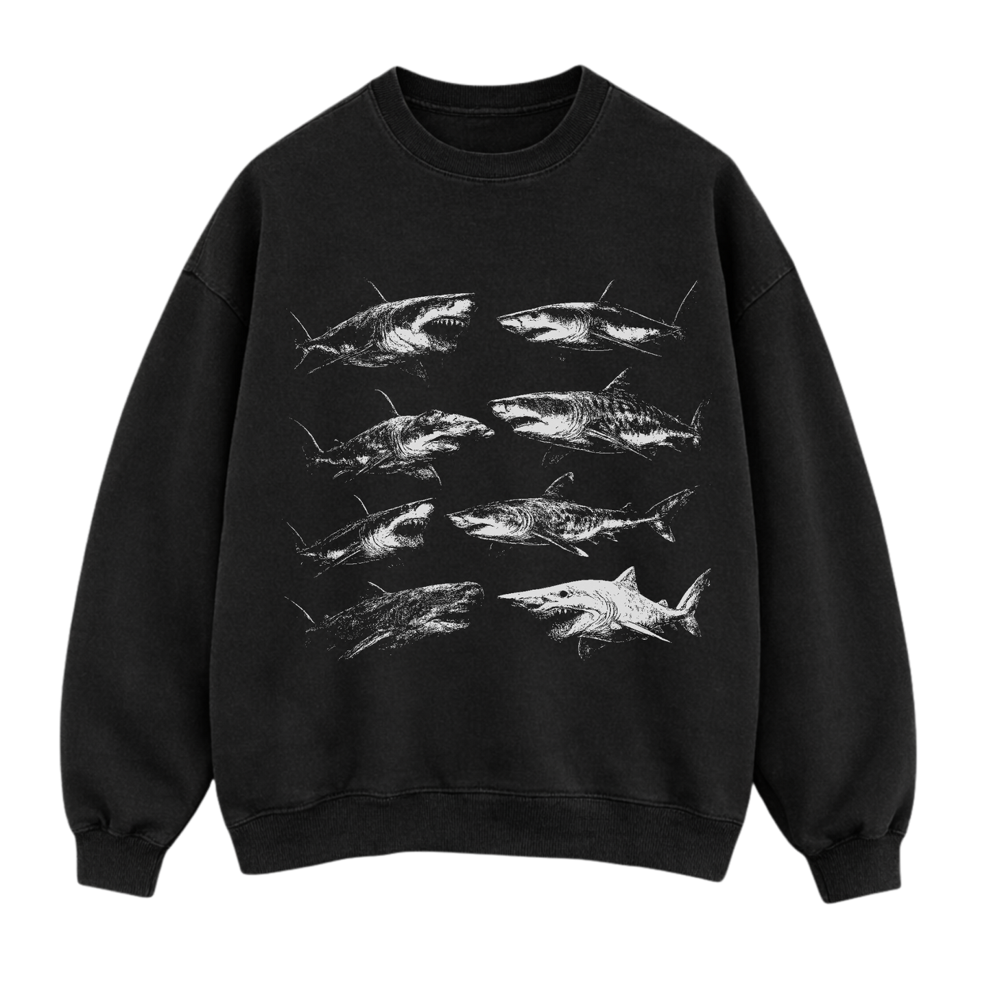 Shark Assortment Sweatshirt