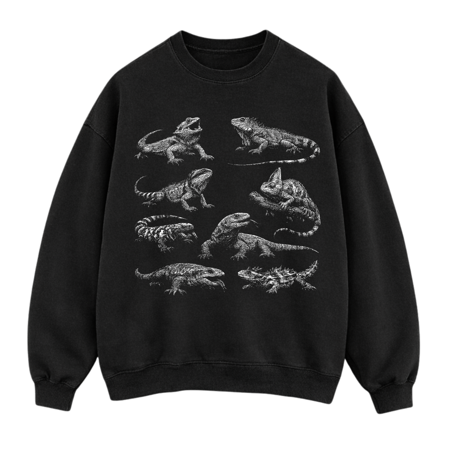 Desert Lizards Sweatshirt