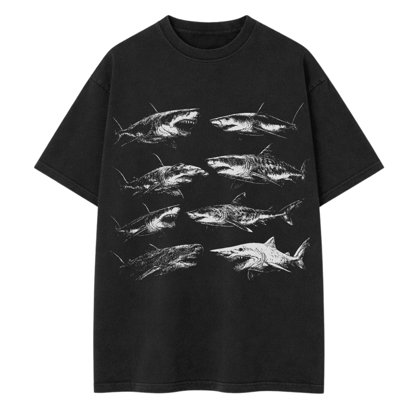 Shark Assortment T Shirt